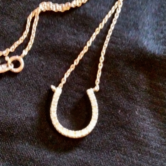 Horseshoe CZ Necklace - Picture 2 of 5
